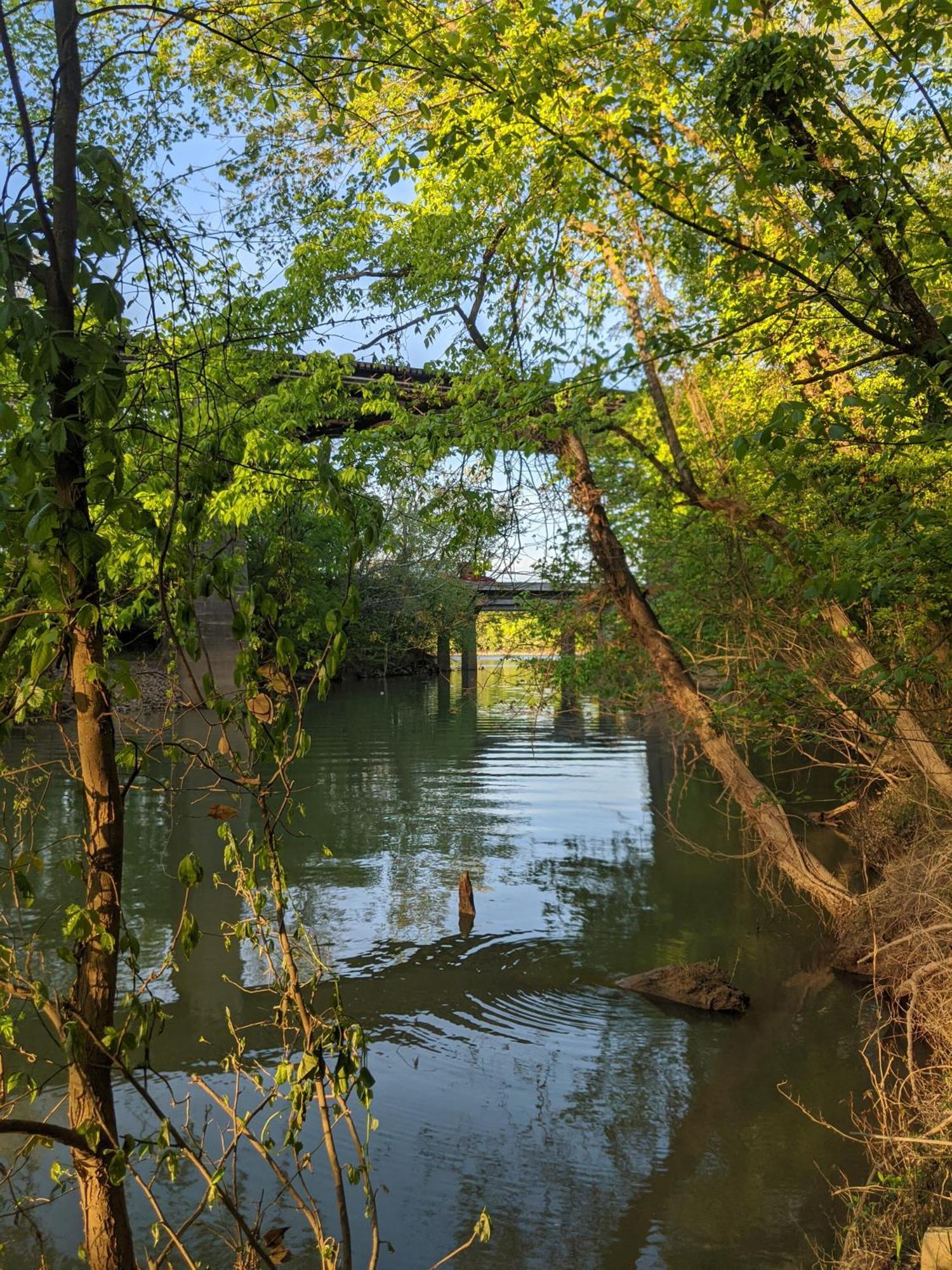 River Cabin Hot Tub & Swim Spa Near Downtown Chattanooga Extérieur photo